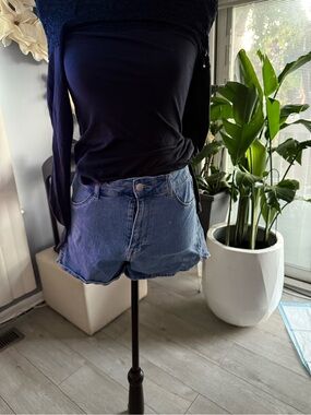 H&M Light Blue Denim Cutoff Shorts